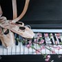 Ballet al piano